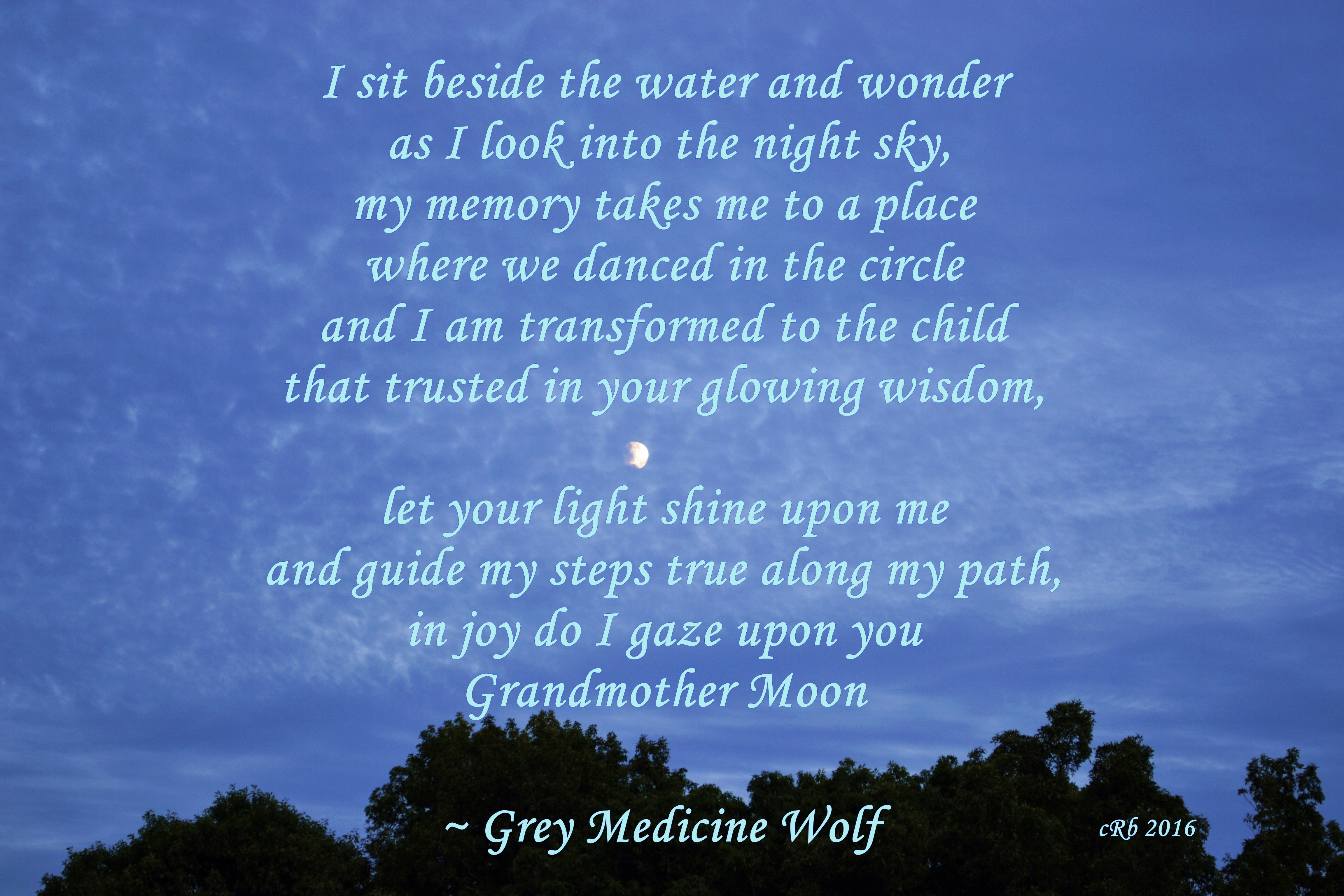 grandmother-moon-grey-medicinw-wolf.jpg